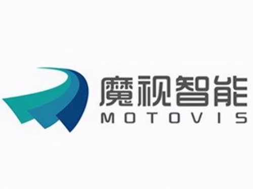 魔视智能 logo